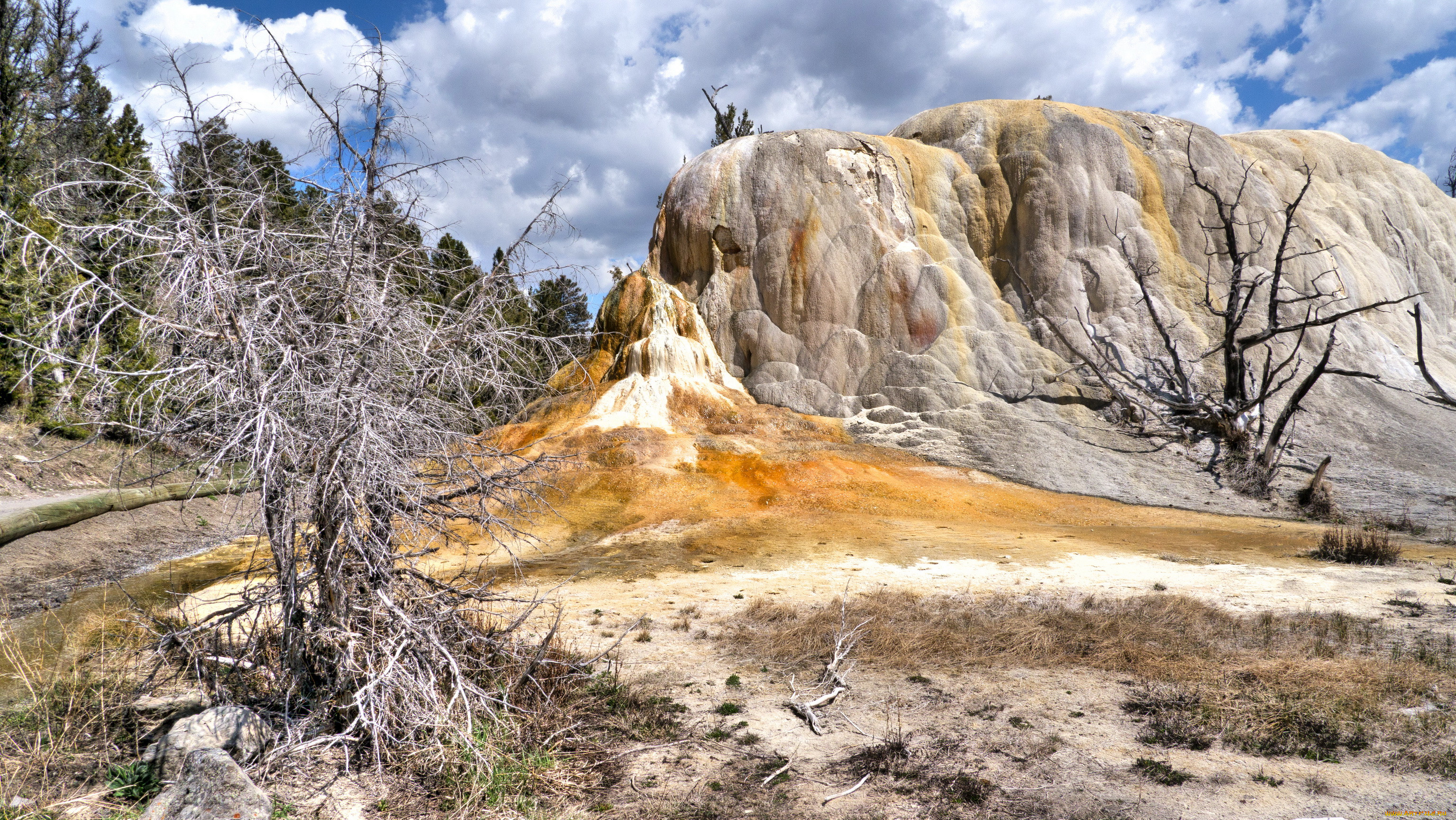 yellowstone, national, park, wyoming, , , , 